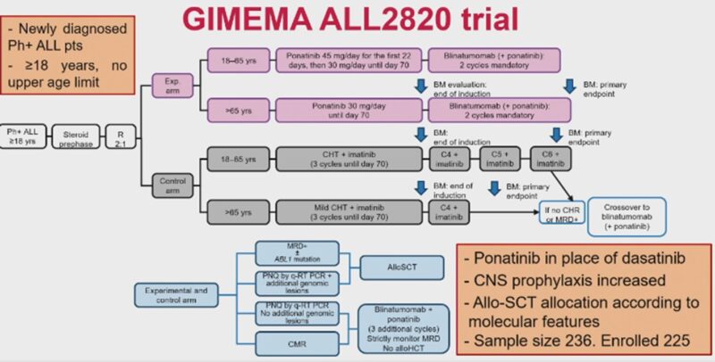 Talha Badar: ASH24 abstract in acute leukemia and MDS