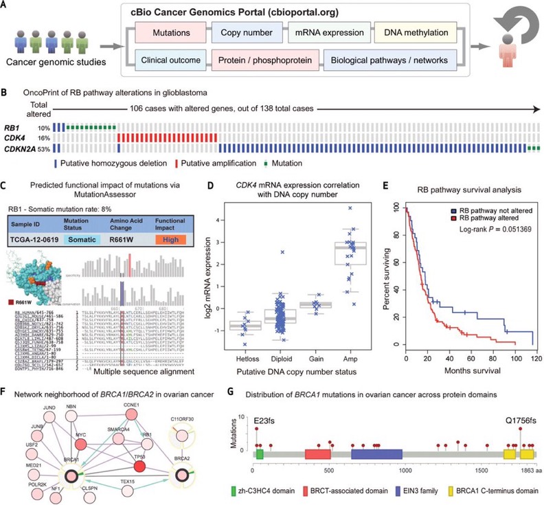 Anirban Maitra: The all-time most cited paper in AACR Cancer Discovery by Ethan Cerami et al.