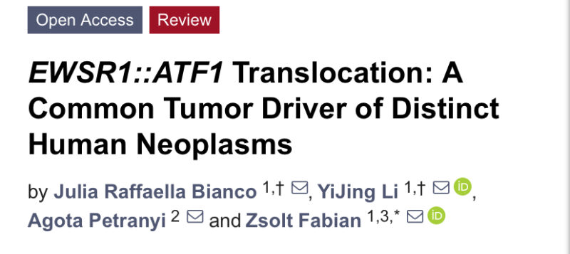 Exploring the Role of EWSR1 Fusions in Tumorigenesis and Therapeutic Strategies