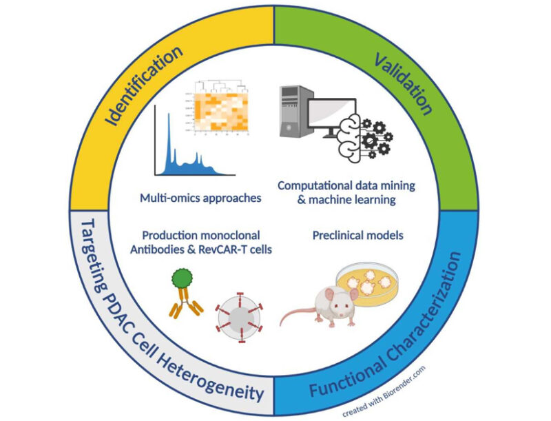 A European Project to Better Understand and Treat Pancreatic Cancer