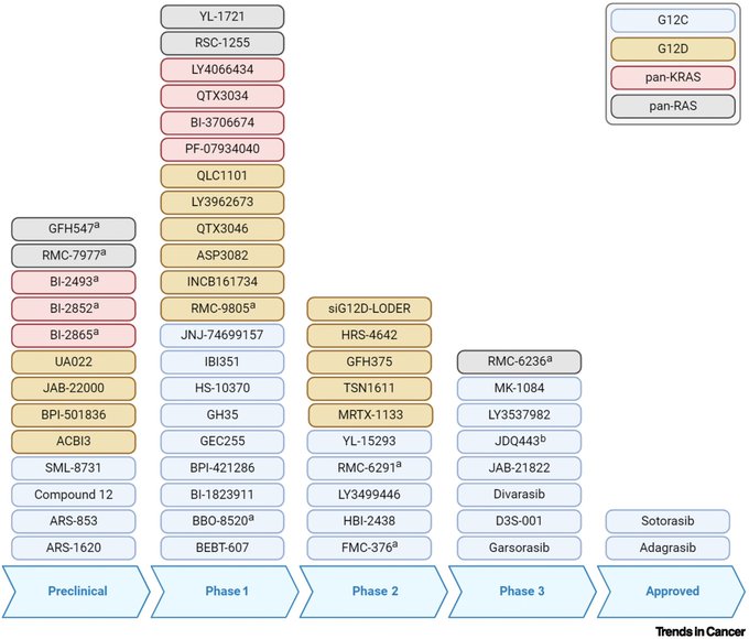 Anirban Maitra: An Open Access review on current status of KRAS inhibitors, resistance drivers and potential combinations