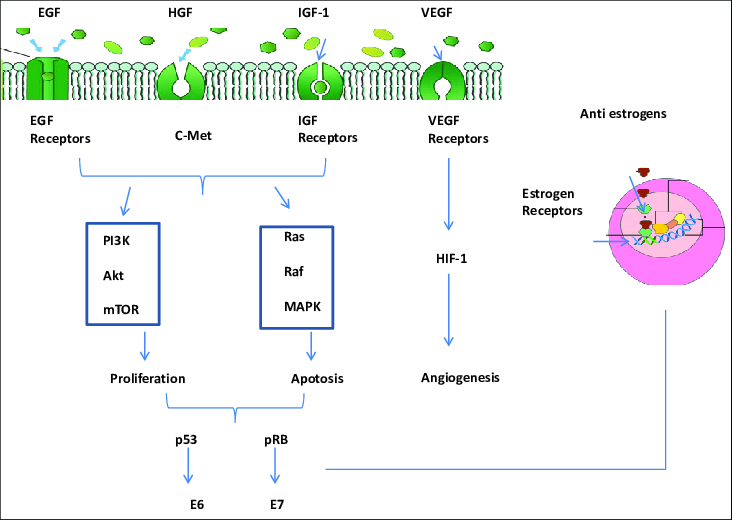 2024 Marks The 20th Anniversary of The Discovery of EGFR in NSCLC