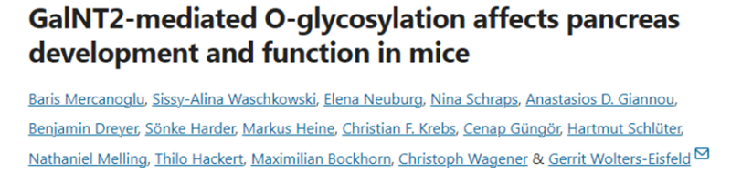 GalNT2 transgenic mouse with in vivo proteomics data for altered O-glycosylation residues