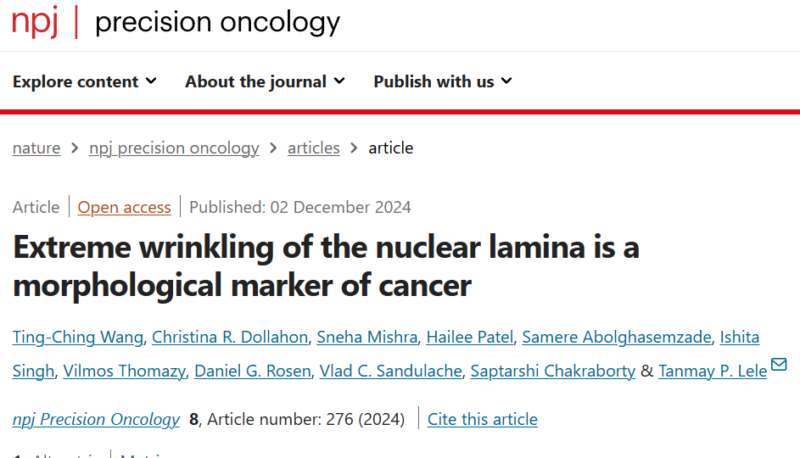 Extreme wrinkling of the nuclear lamina is a morphological marker of cancer