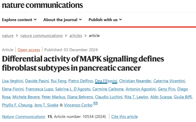 Michele Bevere: Novel Role of the MAPK Signalling Pathway in Pancreatic Cancer