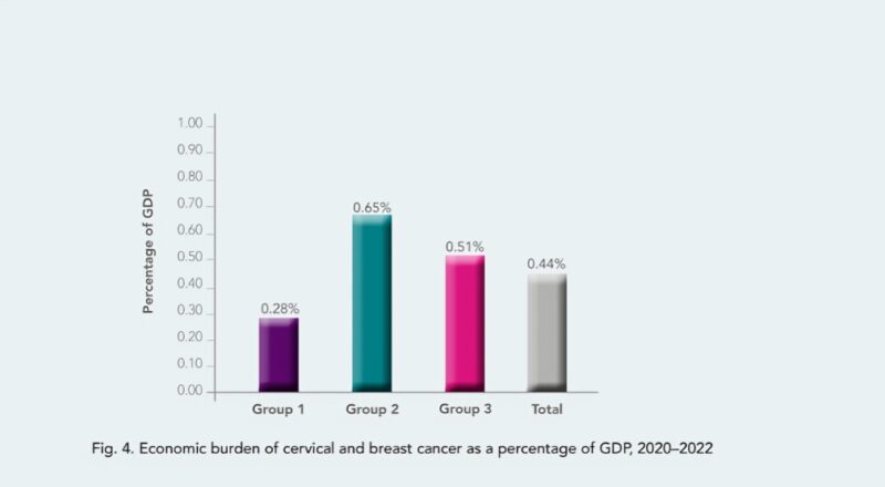 Women's Cancer in the WHO Eastern Mediterranean Region - A Situation Analysis and Investment Case Report