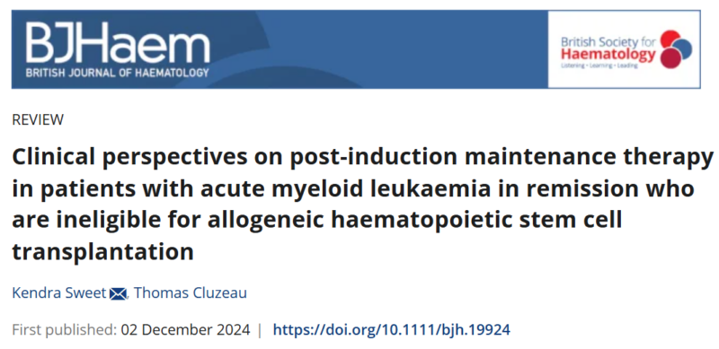 Clinical perspectives on post-induction maintenance therapy in patients with AML