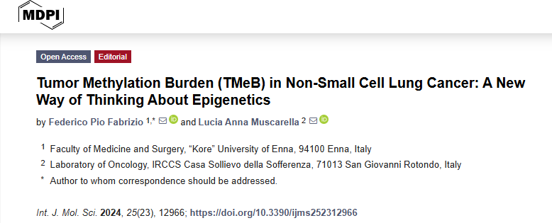 Tumor Methylation Burden in Non-Small Cell Lung Cancer: A New Way of Thinking About Epigenetics