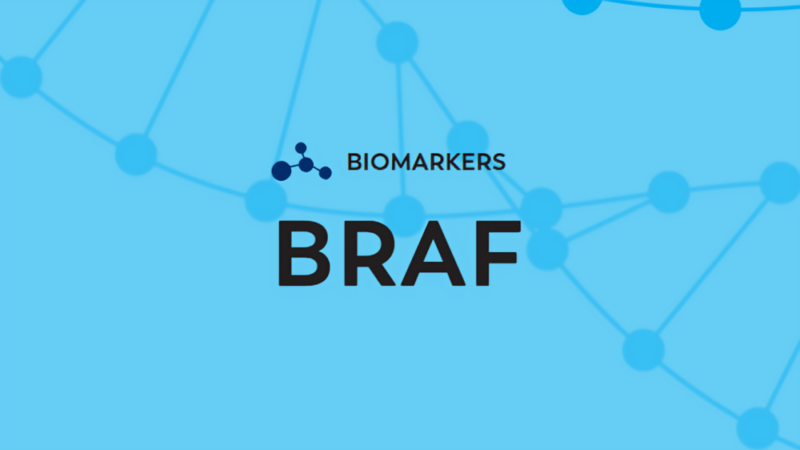 What is BRAF? – Global Colon Cancer Association