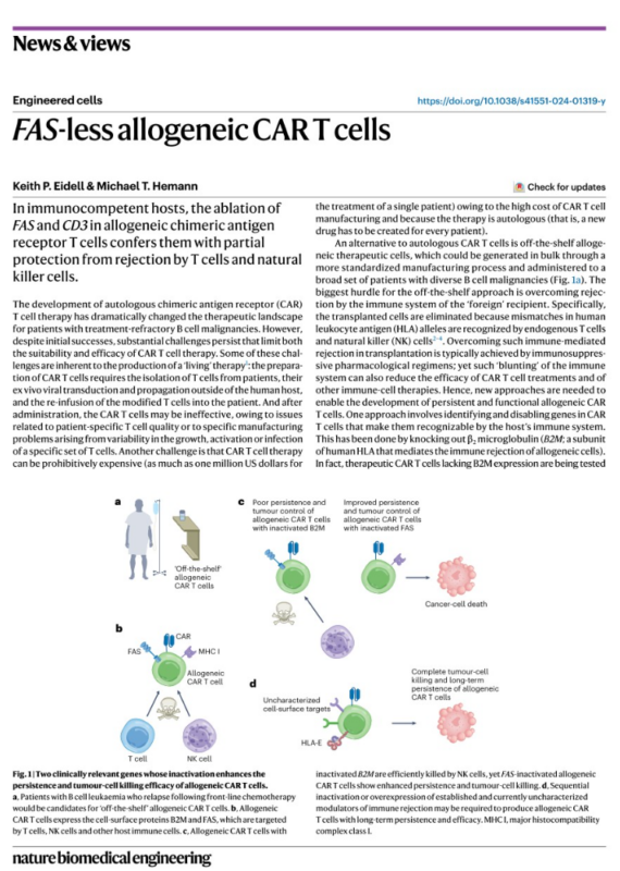 Francisco Conesa Buendía: FAS-Less Allogeneic CAR-T Cells - A Leap Towards Off-the-Shelf Cancer Therapies