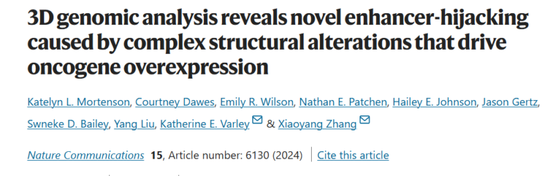 Analysis Tool Aids in Identifying Genes that Hijack Enhancers