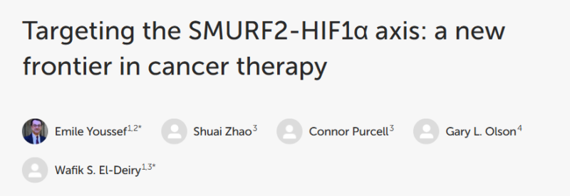 Wafik S. El-Deiry: A recent review on Targeting the SMURF2-HIF1α axis