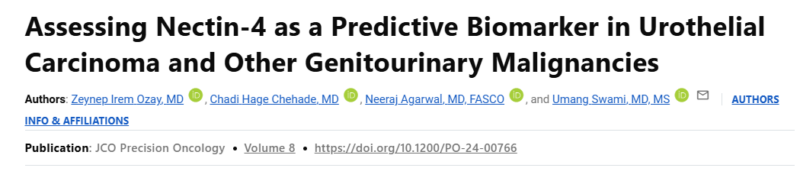 Zeynep Irem Ozay: Assessing nectin-4 as a predictive biomarker in GU malignancies