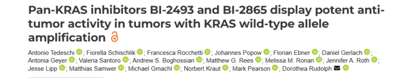 Daniel Gerlach: Pan-KRAS inhibitors displaying potent anti-tumor activity in tumors with KRAS allele amplification