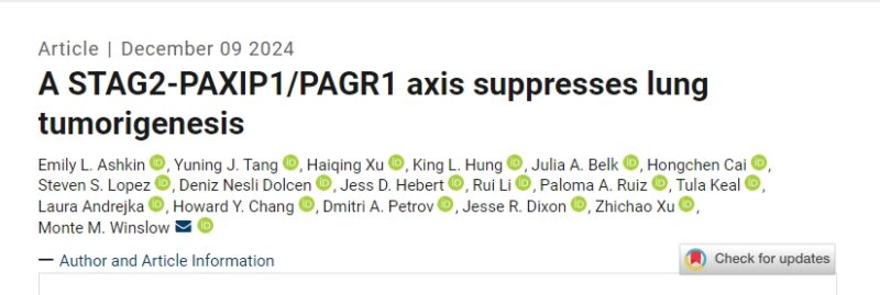 The Journal of Experimental Medicine - Important roles of STAG2 in suppressing lung tumorigenesis