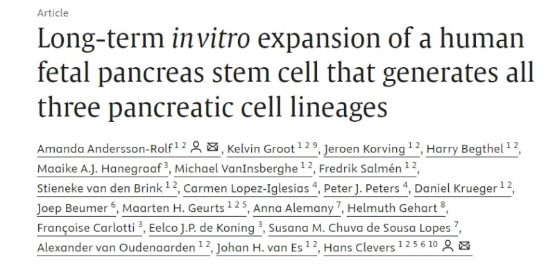 New human fetal pancreatic organoid model generates all three key cell types of the pancreas