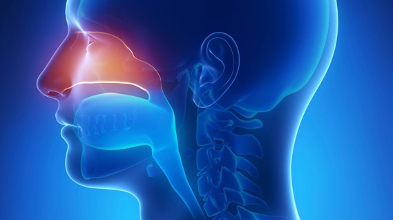 The ninth version of TNM staging for nasopharyngeal carcinoma