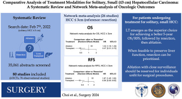 Comparative analysis of treatment modalities for solitary, small Hepatocellular carcinoma