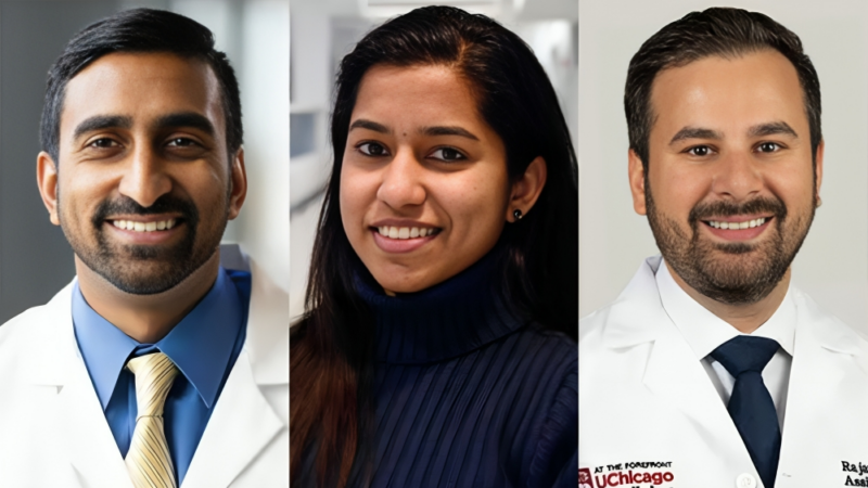 Arya Roy: Our article exploring the pros and cons of academia, community and hybrid practices