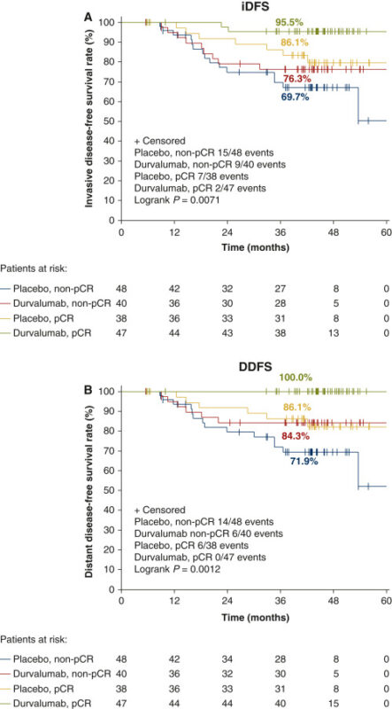 Neoadjuvant durvalumab improves survival in early TNBC independent of pathological complete response