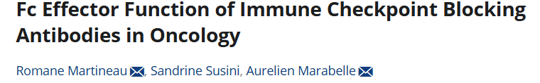 María Natalia Gandur Quiroga: Checkpoint inhibitors and Fc functions - key findings in oncology immunotherapy