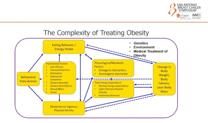 Mechanisms of Obesity Related Risk for Breast Cancer and Approaches to Risk Reduction