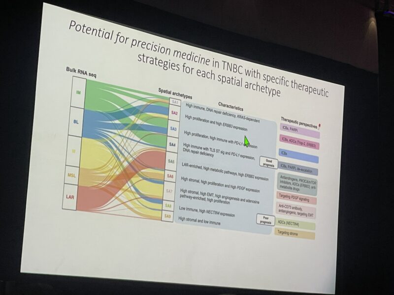 Christos Sotiriou talks about TNBC Inter and intra-patient heterogeneity at SABCS24 translational workshop