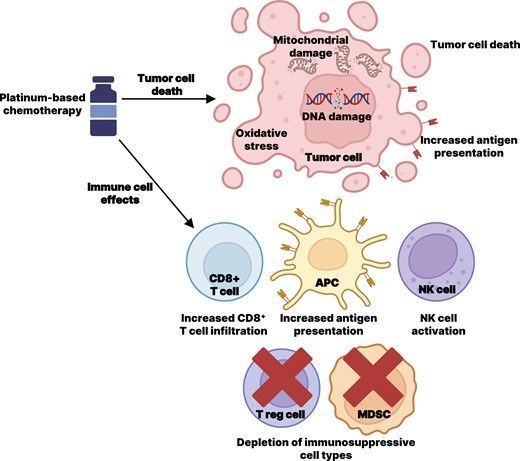 Reevaluating the role of platinum-based chemotherapy in the treatment landscape for advanced urothelial carcinoma