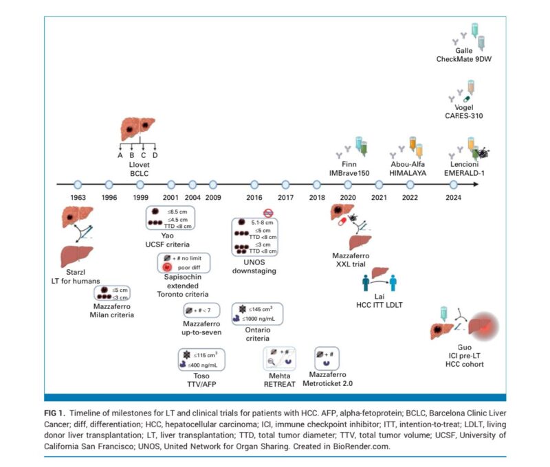 Liver Transplantation for Hepatocellular Carcinoma