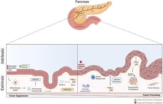 Vivek Subbiah: Final day of World Pancreatic Cancer Awareness Month