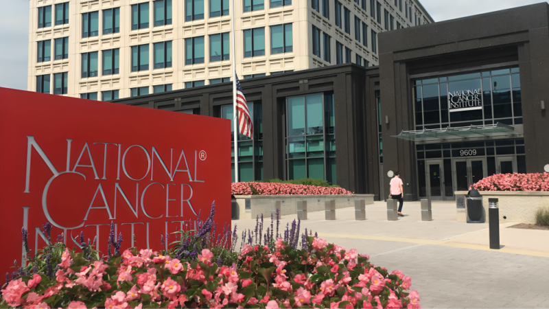 From Lab to Clinic: The Power of Mentorship in Cancer Research – Train at NCI