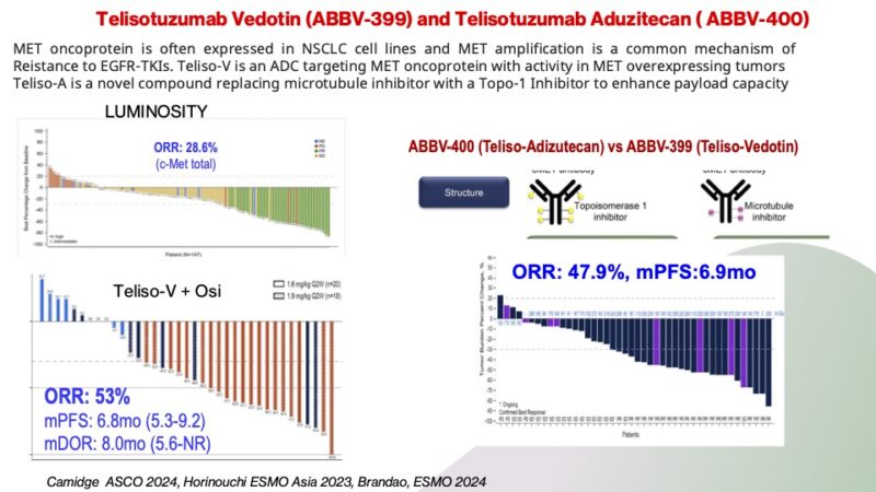 Giannis Mountzios: 10 exciting compounds that will shape lung cancer in 2025