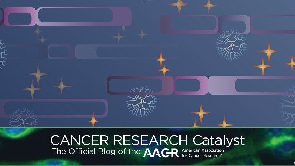 Immunosuppression in the Lung, New Mathematical Models and More – AACR