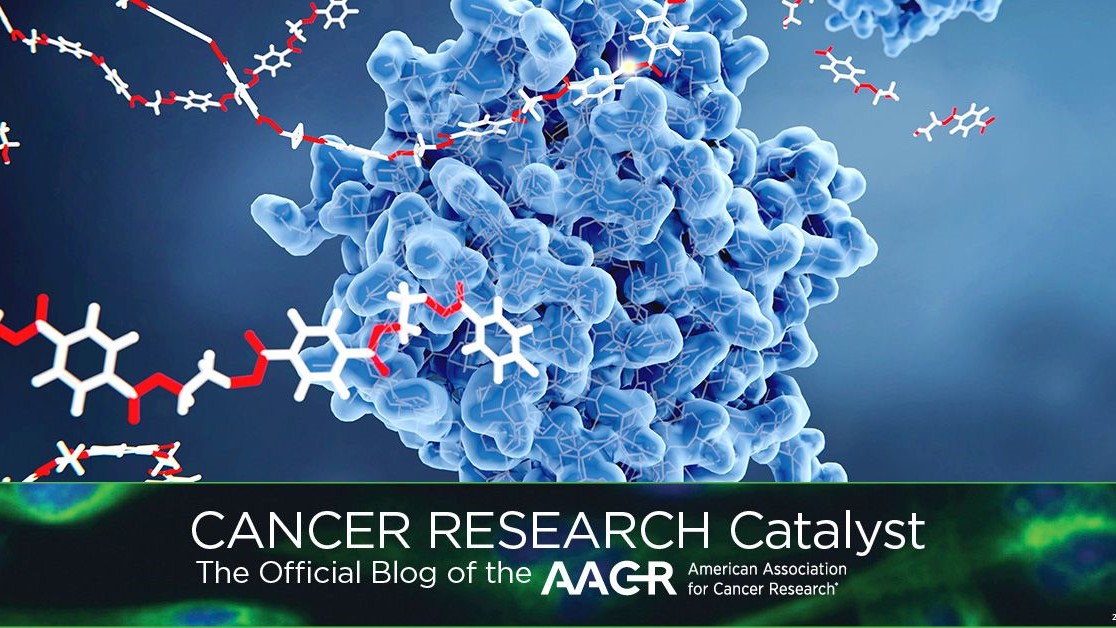 SABCS 2024 highlights breakthrough therapies in breast cancer care – AACR