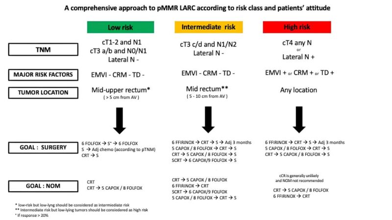 Annalice Gandini: A comprehensive review on locally advanced rectal cancer