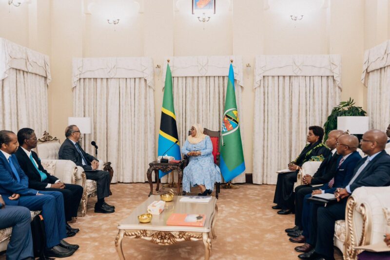 Tedros Adhanom Ghebreyesus: A productive discussion with President Samia Suluhu