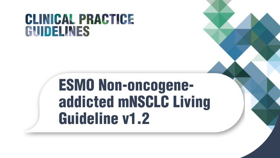 ESMO Non-oncogene-addicted mNSCLC Living Guideline v1.2