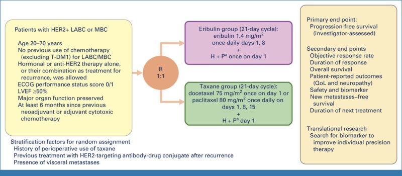 Eribulin + HP as first-line treatment of locally advanced/metastatic HER2+ breast cancer