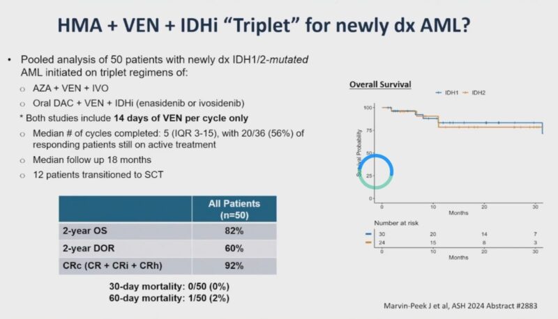 Ahmed Kotb: Triplet Regimens in AML - Promises and Challenges