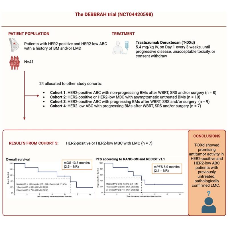 Trastuzumab deruxtecan in HER2-positive and HER2-low breast cancer patients with leptomeningeal carcinomatosis