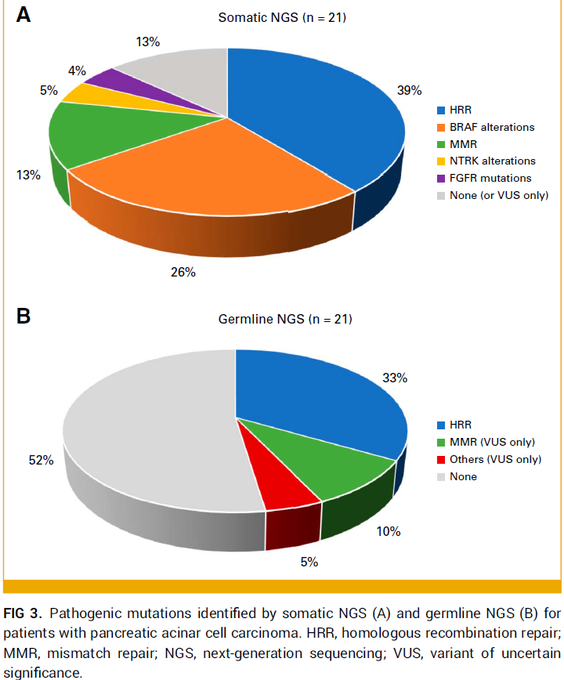 Thor Halfdanarson: Need info on the rare acinar cell carcinoma of the pancreas?