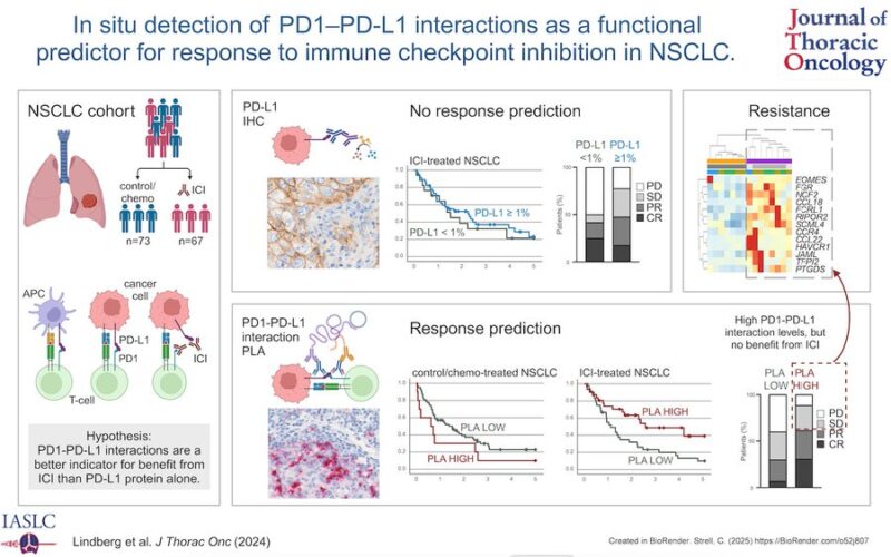  immune pathways 