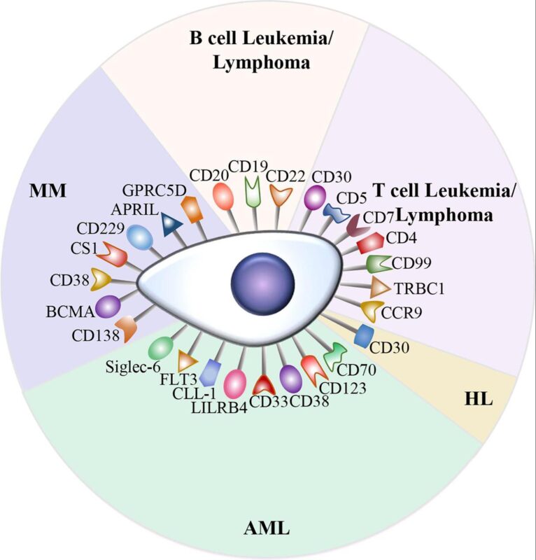 Chokri Ben Lamine: Immune Targets in Hematologic Malignancies