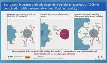 Insights from ASCO GI25 by Arndt Vogel