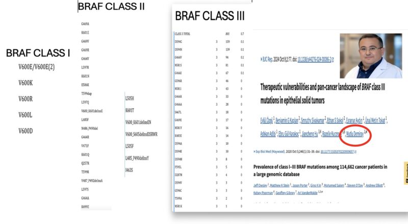 Razelle Kurzrock: BRAF mutations are not one size fits all