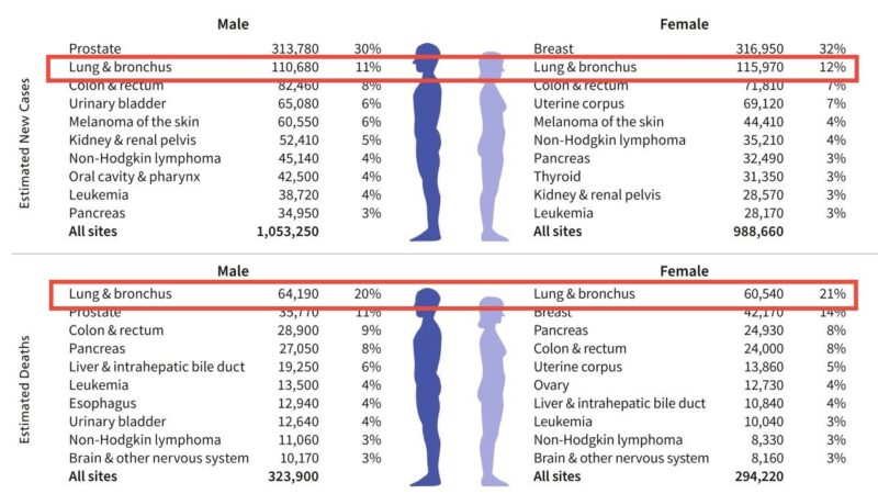 Eric K. Singhi: Key patient-friendly insights from the recently published American Cancer society