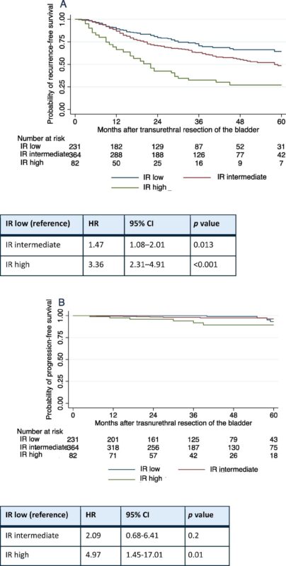 Clinical validation of the Intermediate-risk NMIBC Scoring System and Substratification Model