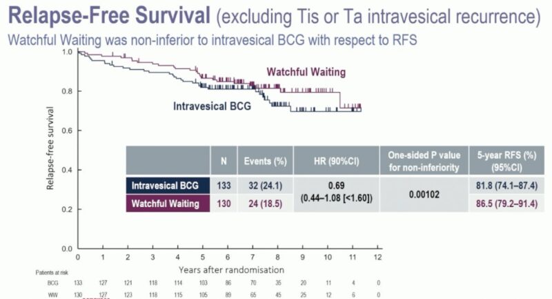 Laura Bukavina: 8 doses of BCG vs. no treatment in high grade T1 bladder cancer