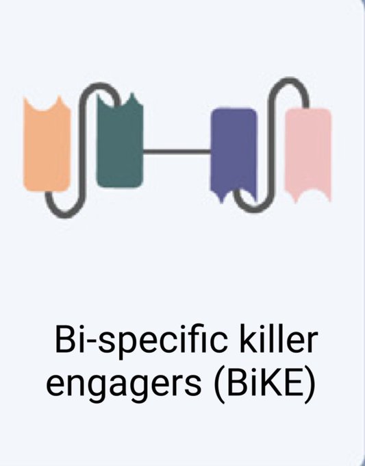 Al-Ola A Abdallah: Insights into bispecific T-cell engagers