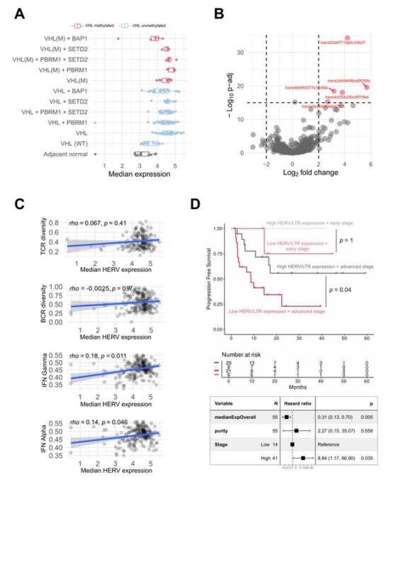 How do the tumor genome, transcriptome, and TME jointly evolve in ccRCC? - Turajlic Lab